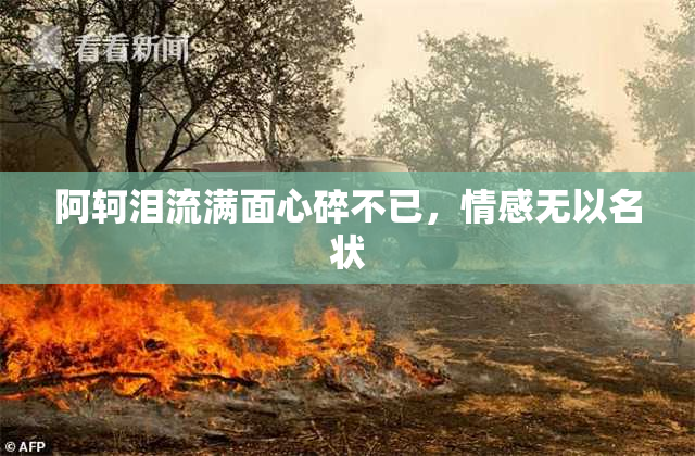 阿轲泪流满面心碎不已，情感无以名状