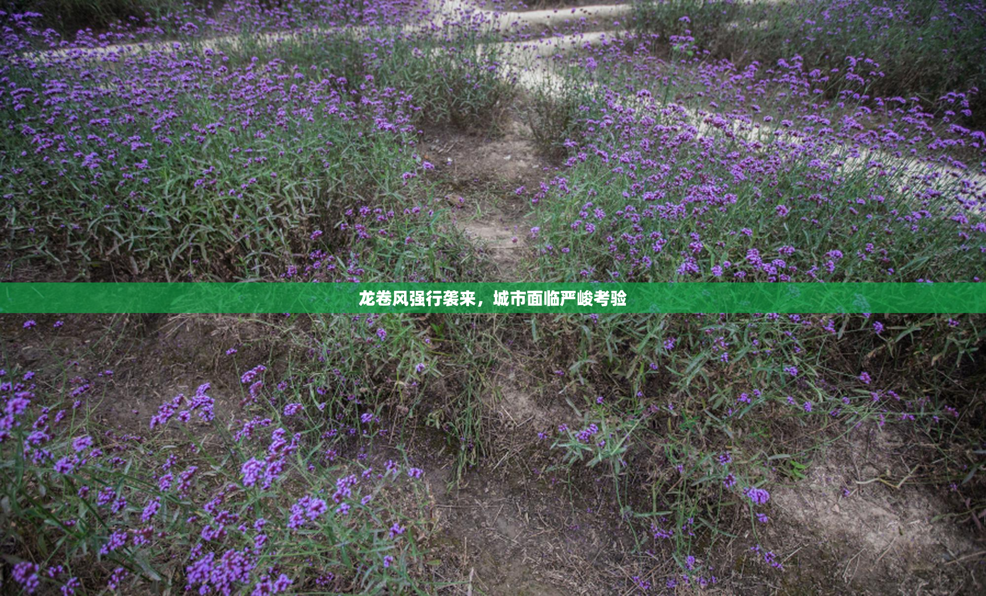 龙卷风强行袭来，城市面临严峻考验