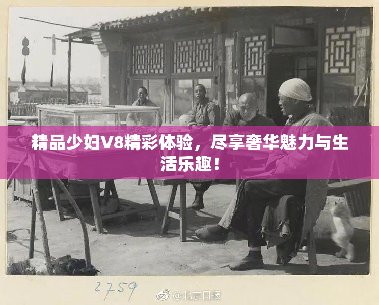 精品少妇V8精彩体验，尽享奢华魅力与生活乐趣！