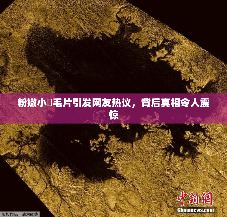 粉嫩小泬毛片引发网友热议，背后真相令人震惊