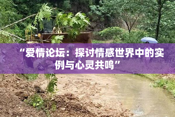 “爱情论坛：探讨情感世界中的实例与心灵共鸣”