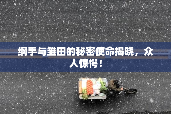 纲手与雏田的秘密使命揭晓，众人惊愕！