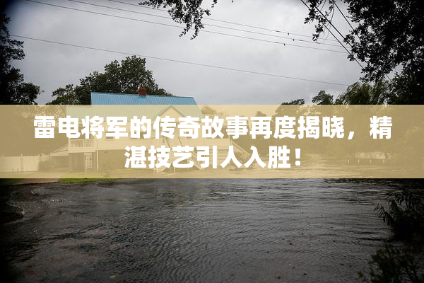 雷电将军的传奇故事再度揭晓，精湛技艺引人入胜！