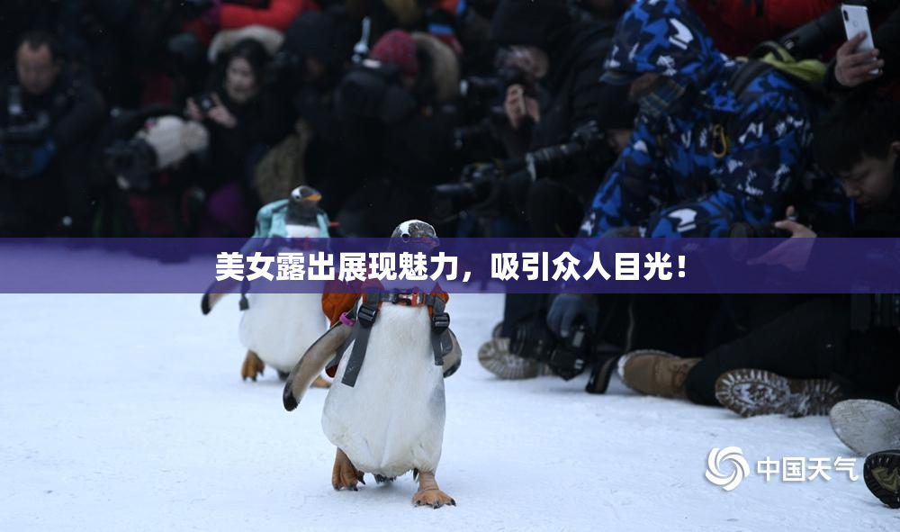 美女露出展现魅力，吸引众人目光！