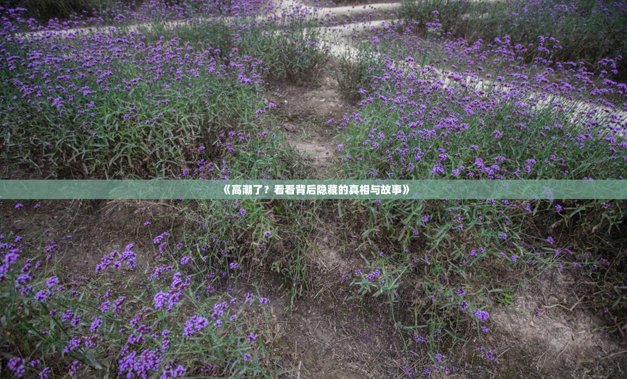 《高潮了？看看背后隐藏的真相与故事》