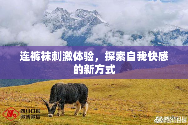 连裤袜刺激体验，探索自我快感的新方式