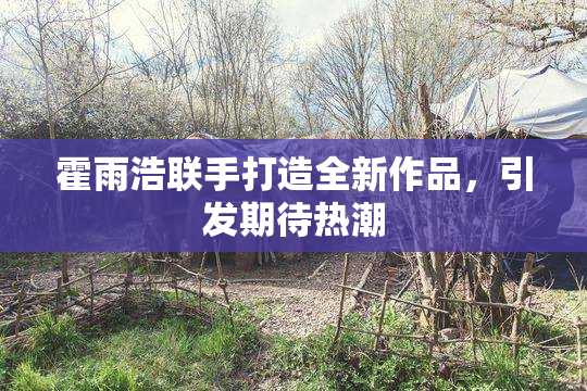 霍雨浩联手打造全新作品，引发期待热潮