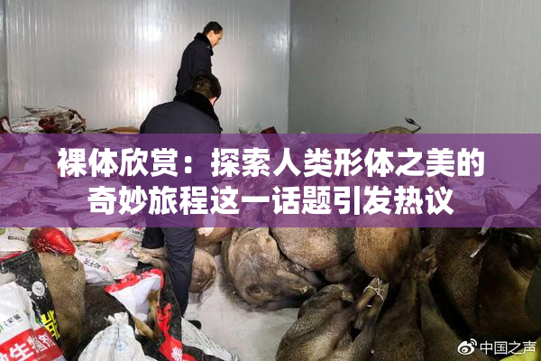 裸体欣赏：探索人类形体之美的奇妙旅程这一话题引发热议