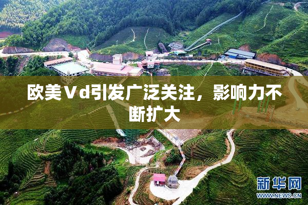 欧美Ⅴd引发广泛关注，影响力不断扩大