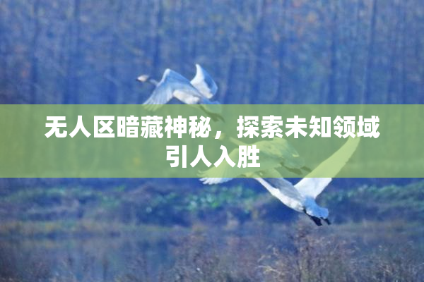 无人区暗藏神秘，探索未知领域引人入胜