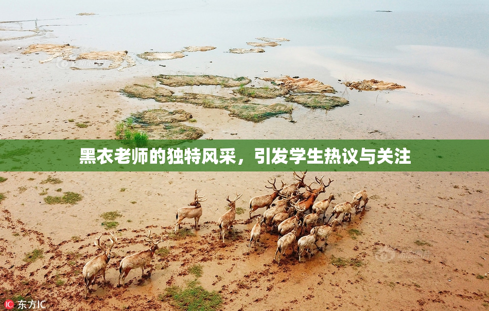 黑衣老师的独特风采，引发学生热议与关注