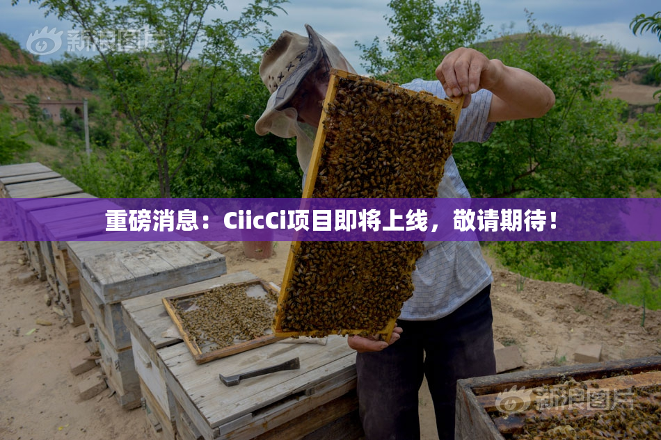 重磅消息：CiicCi项目即将上线，敬请期待！
