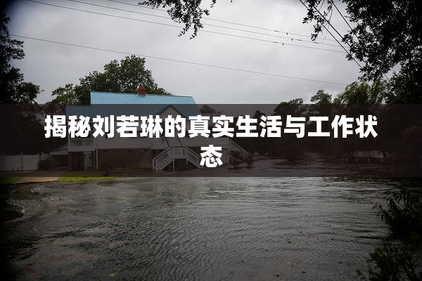 揭秘刘若琳的真实生活与工作状态