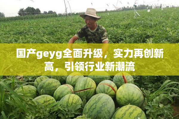 国产geyg全面升级，实力再创新高，引领行业新潮流