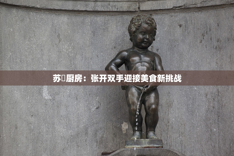 苏玥厨房：张开双手迎接美食新挑战