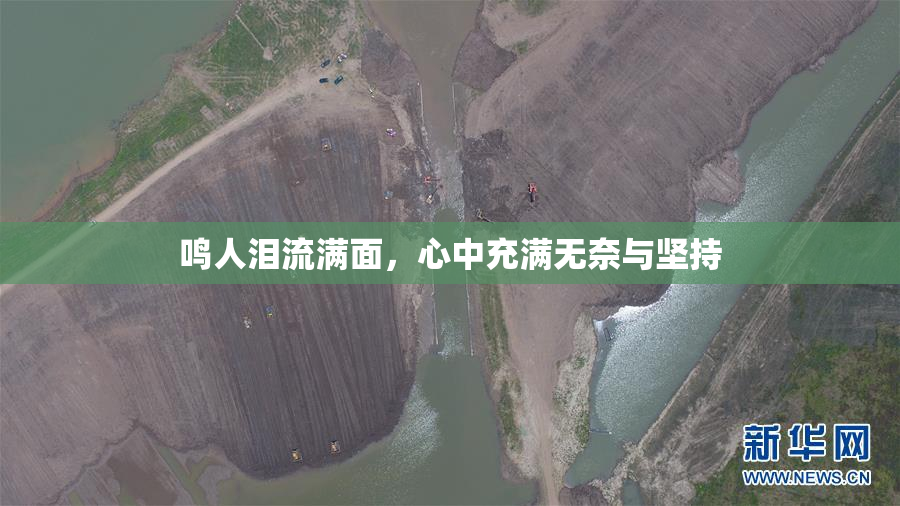 鸣人泪流满面，心中充满无奈与坚持