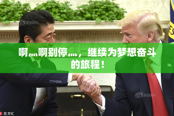 啊灬啊别停灬，继续为梦想奋斗的旅程！