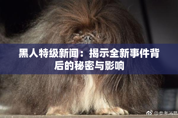黑人特级新闻：揭示全新事件背后的秘密与影响