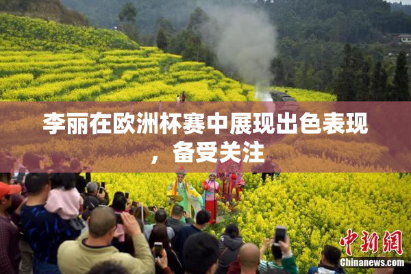 李丽在欧洲杯赛中展现出色表现，备受关注