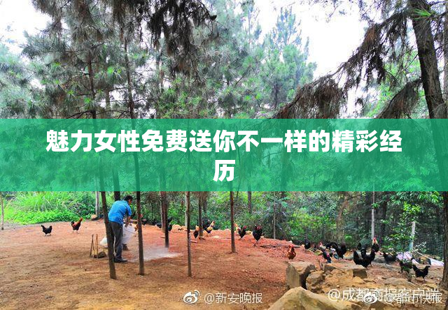 魅力女性免费送你不一样的精彩经历