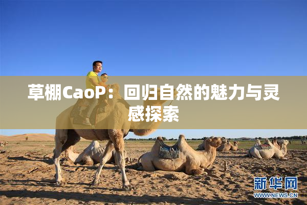 草棚CaoP：回归自然的魅力与灵感探索