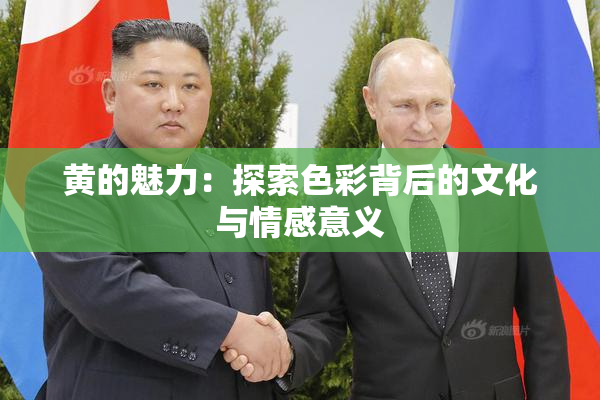 黄的魅力：探索色彩背后的文化与情感意义