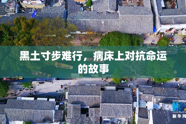 黑土寸步难行，病床上对抗命运的故事