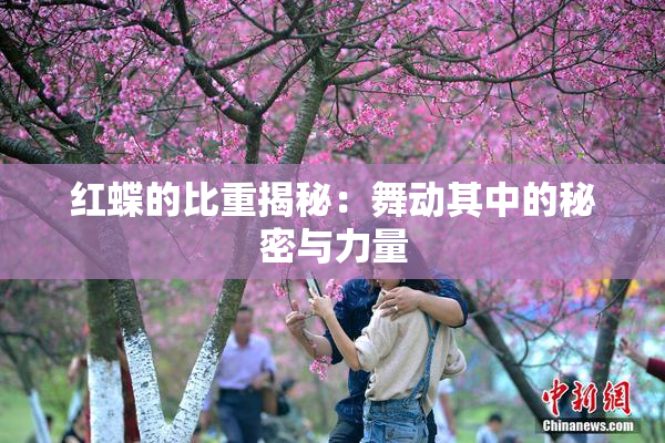 红蝶的比重揭秘：舞动其中的秘密与力量