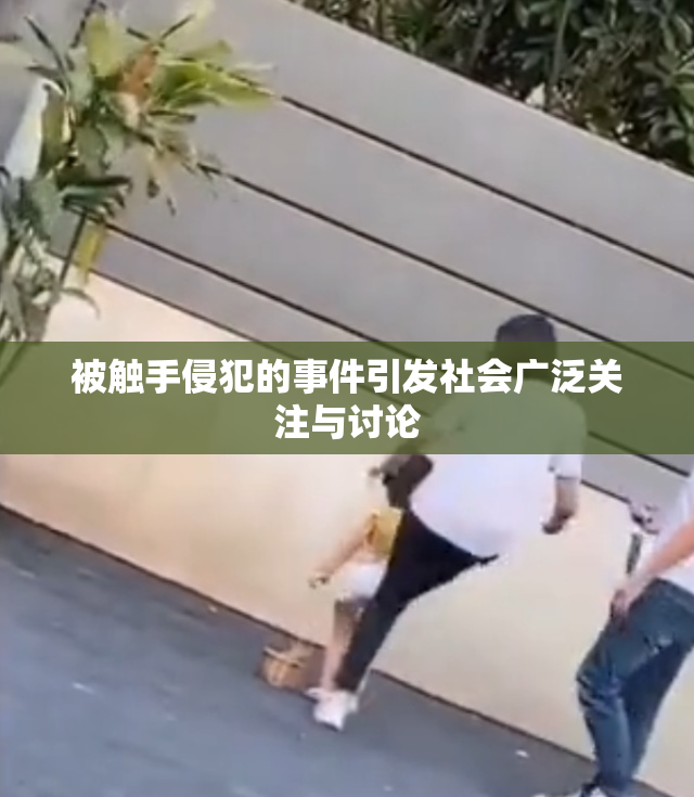 被触手侵犯的事件引发社会广泛关注与讨论