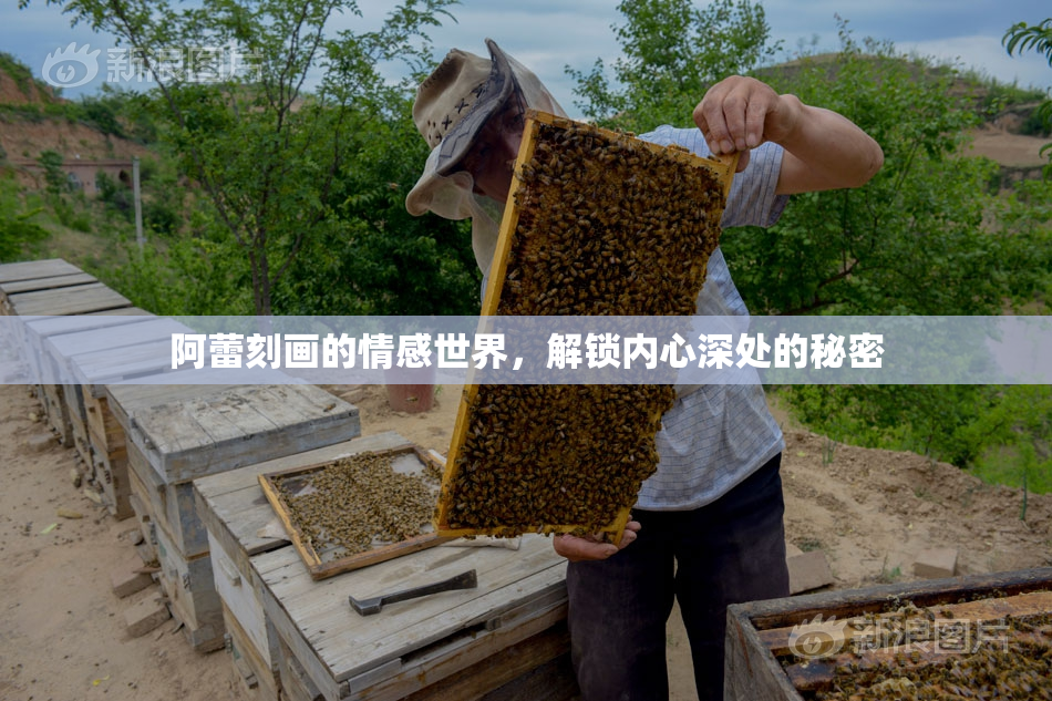 阿蕾刻画的情感世界，解锁内心深处的秘密