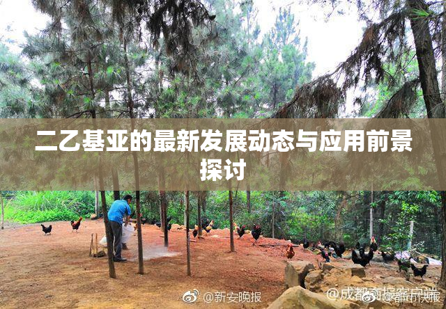 二乙基亚的最新发展动态与应用前景探讨