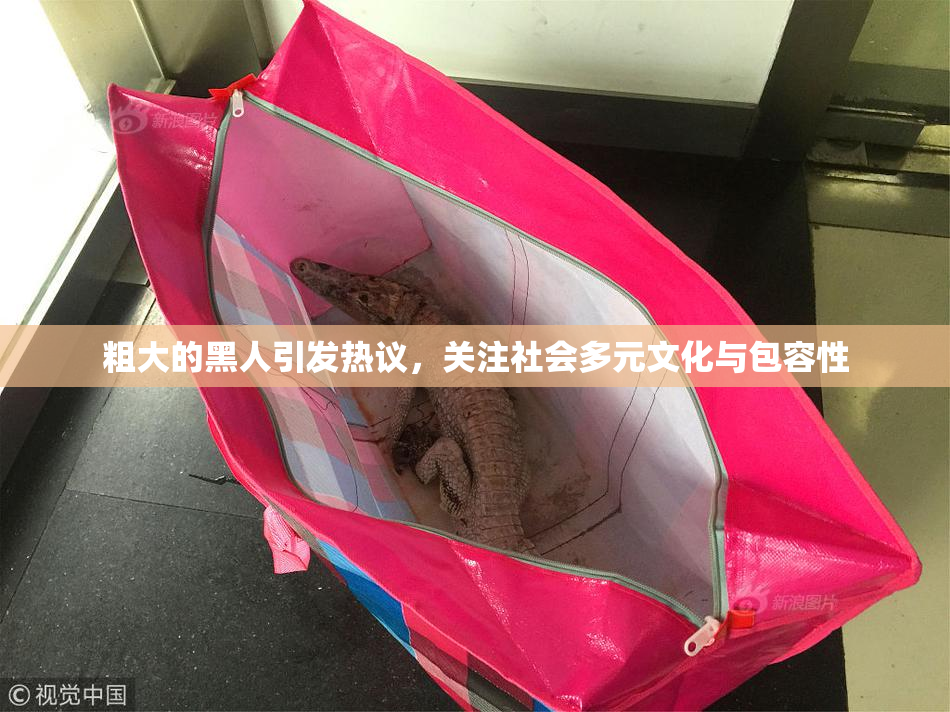粗大的黑人引发热议，关注社会多元文化与包容性