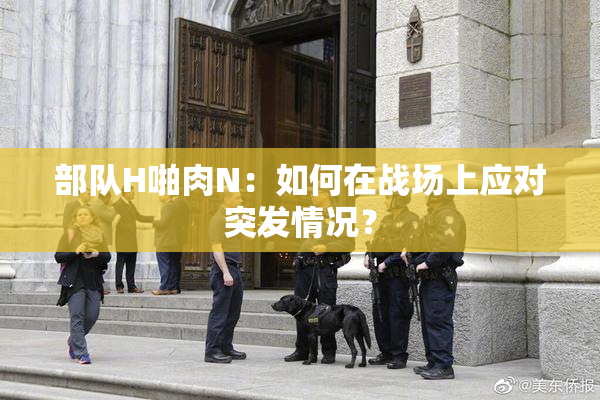部队H啪肉N：如何在战场上应对突发情况？