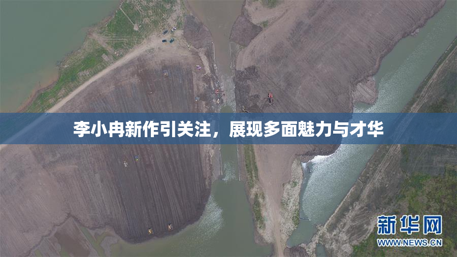 李小冉新作引关注，展现多面魅力与才华