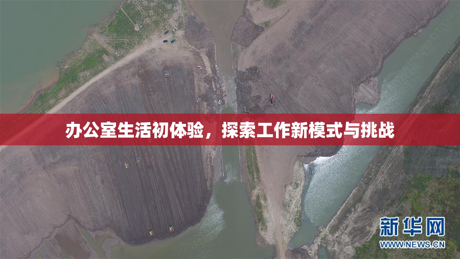 办公室生活初体验，探索工作新模式与挑战