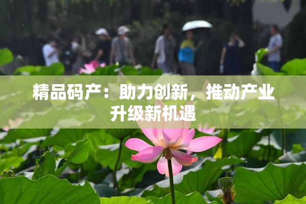 精品码产：助力创新，推动产业升级新机遇