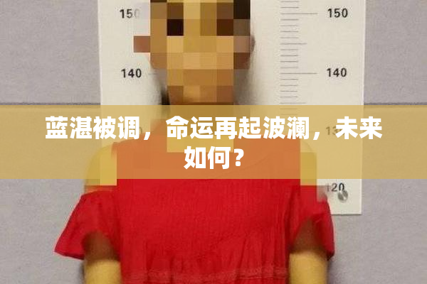 蓝湛被调，命运再起波澜，未来如何？