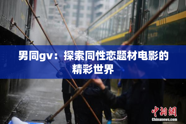 男同gv：探索同性恋题材电影的精彩世界