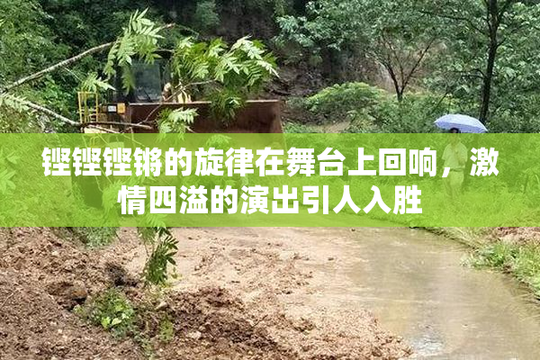 铿铿铿锵的旋律在舞台上回响，激情四溢的演出引人入胜