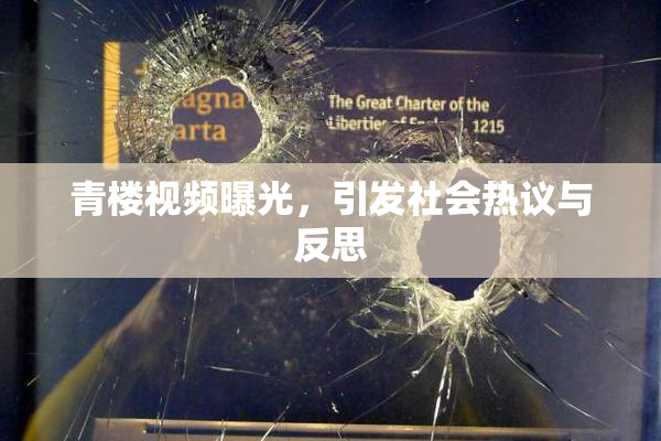 青楼视频曝光，引发社会热议与反思