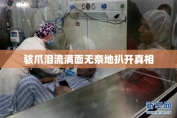 骇爪泪流满面无奈地扒开真相