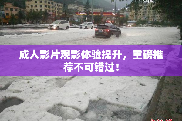 成人影片观影体验提升，重磅推荐不可错过！