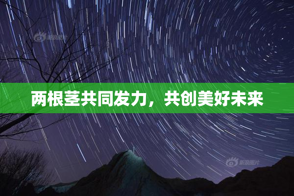 两根茎共同发力，共创美好未来