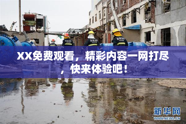 XX免费观看，精彩内容一网打尽，快来体验吧！