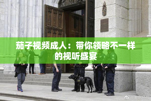茄子视频成人：带你领略不一样的视听盛宴