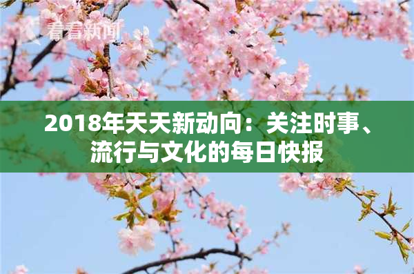 2018年天天新动向：关注时事、流行与文化的每日快报