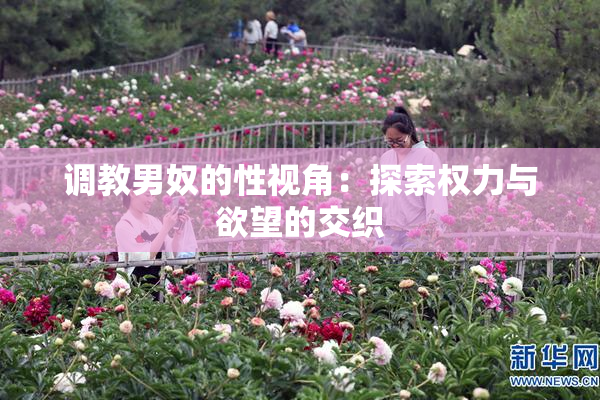 调教男奴的性视角：探索权力与欲望的交织