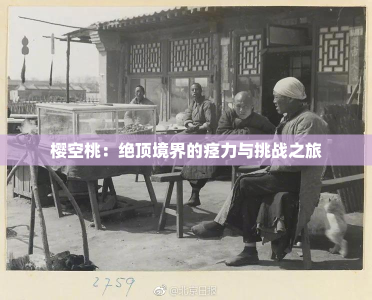 樱空桃：绝顶境界的痉力与挑战之旅