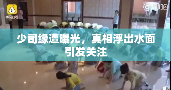 少司缘遭曝光，真相浮出水面引发关注