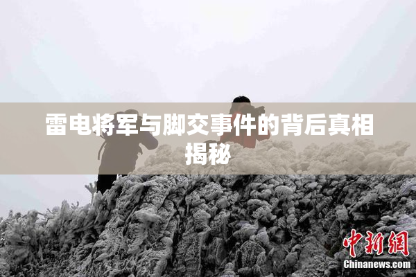 雷电将军与脚交事件的背后真相揭秘